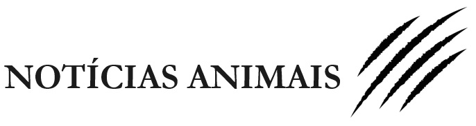 Notícias Animais